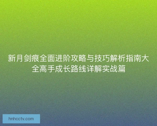 新月剑痕全面进阶攻略与技巧解析指南大全高手成长路线详解实战篇